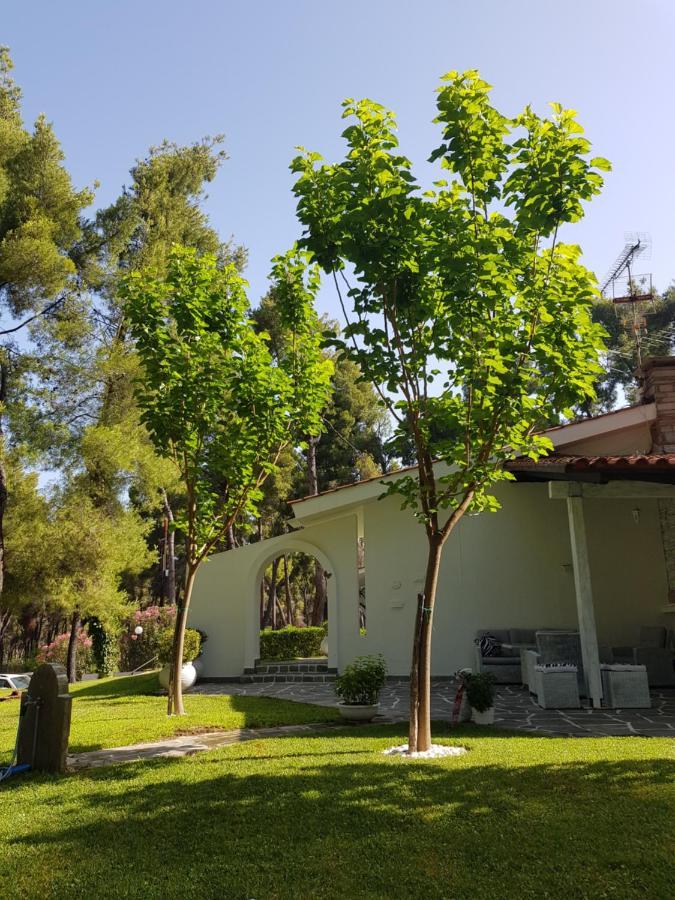 Sani Villa Christy المظهر الخارجي الصورة